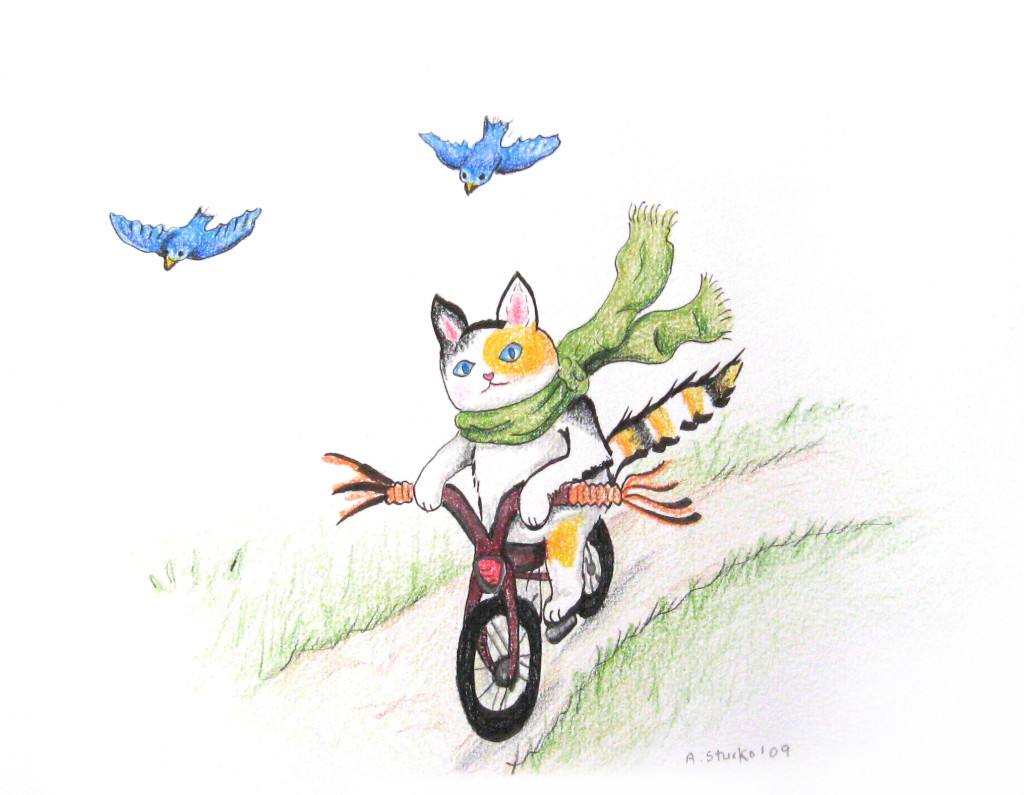 bicyclecat